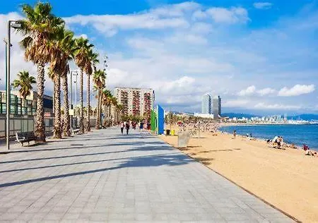Bed & Breakfast Bcn Gotico Barcelona